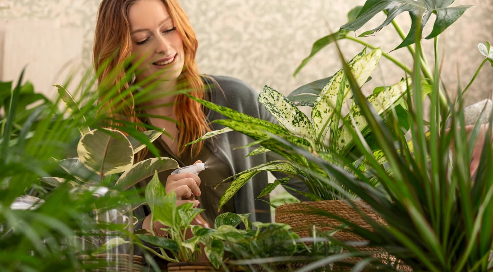Rettungstipps für Zimmer­pflanzen