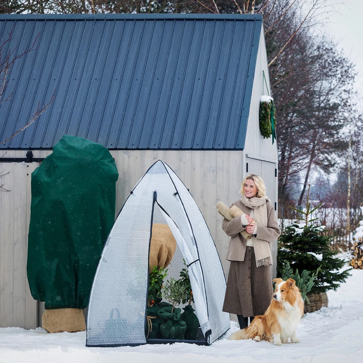 Ratgeber Winterschutz