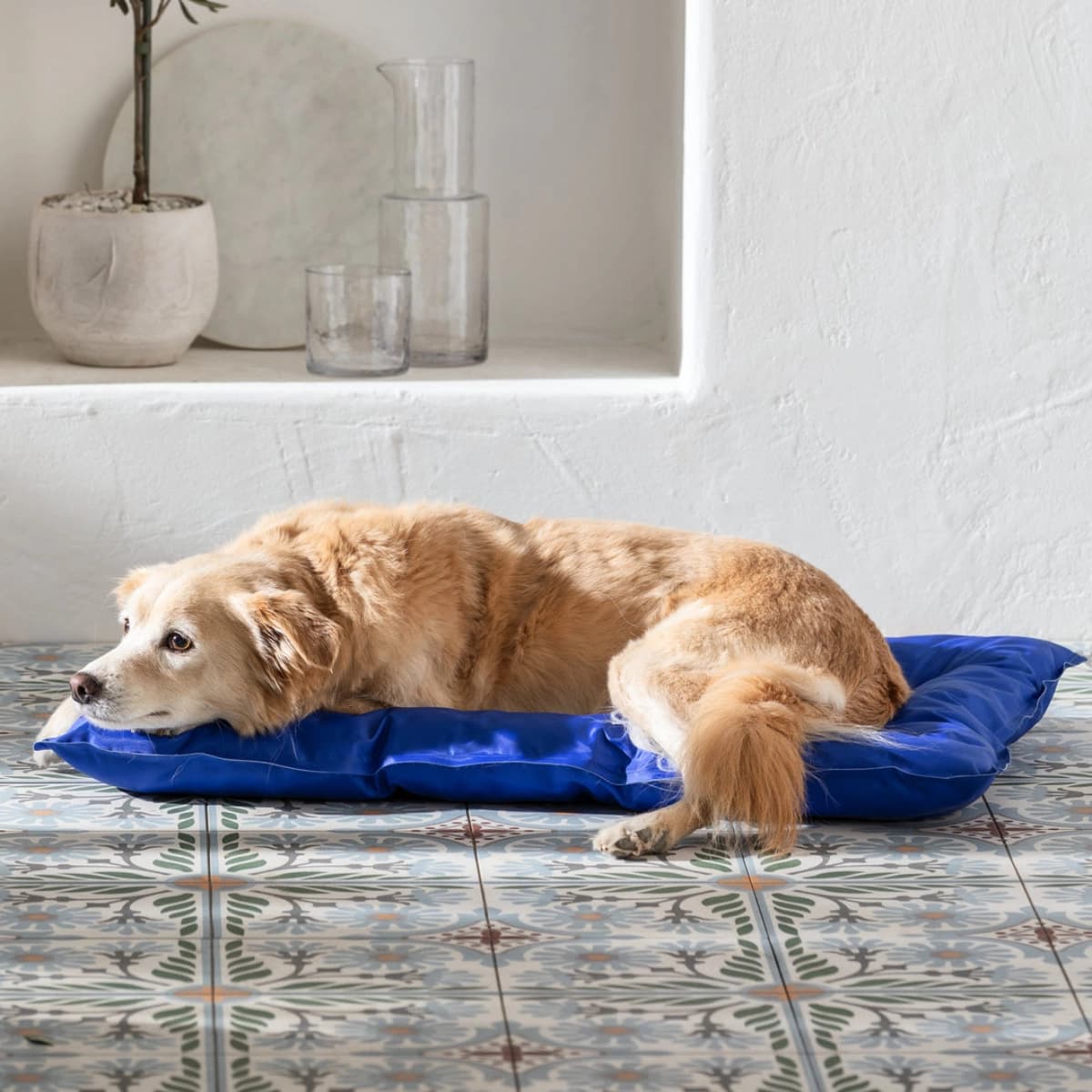 Sommer- & Outdoor-Zubehör