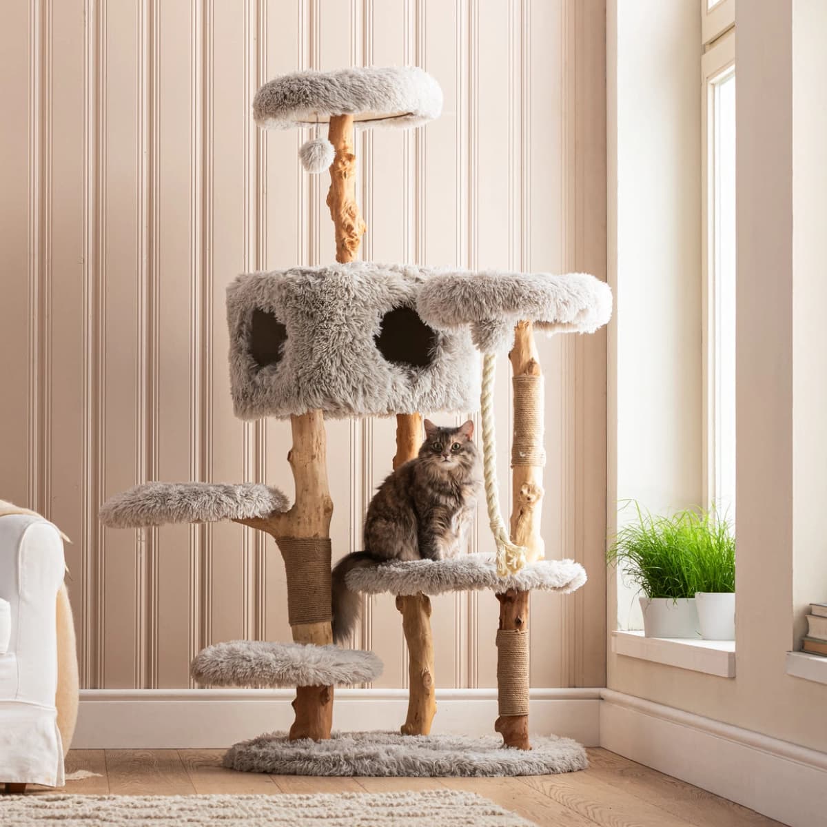 Kratzbäume & Kratzmöbel