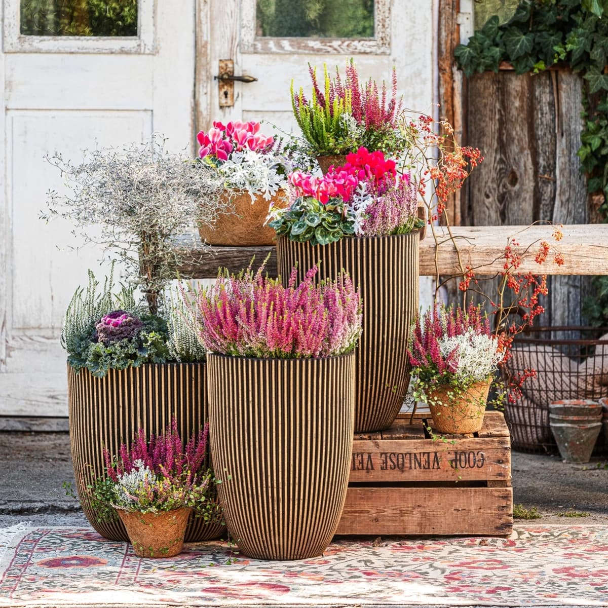 Herbstblumen