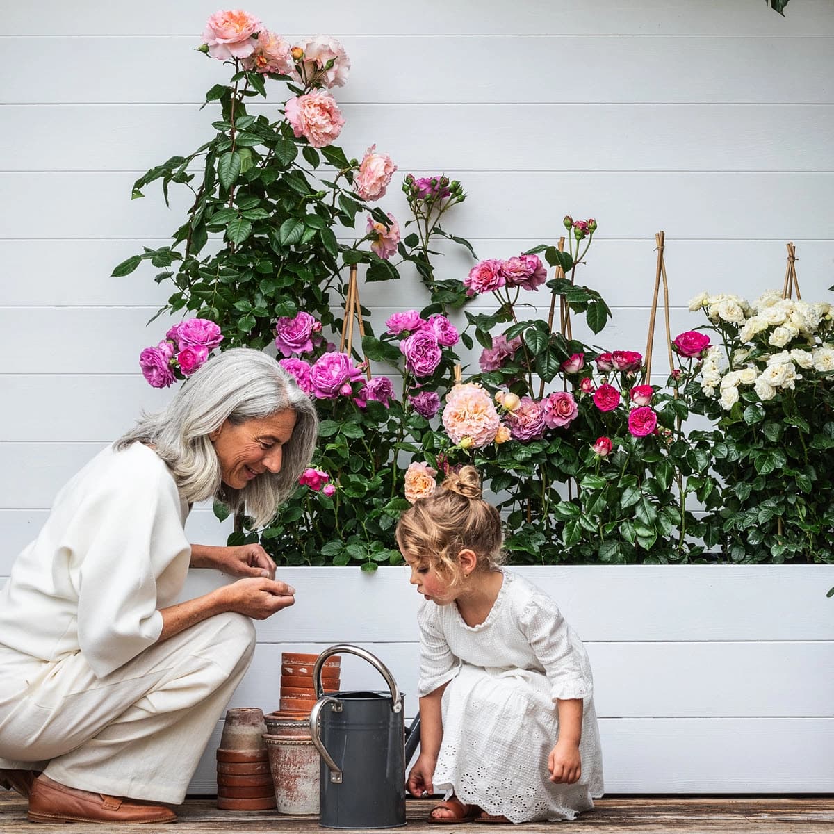 Rosen