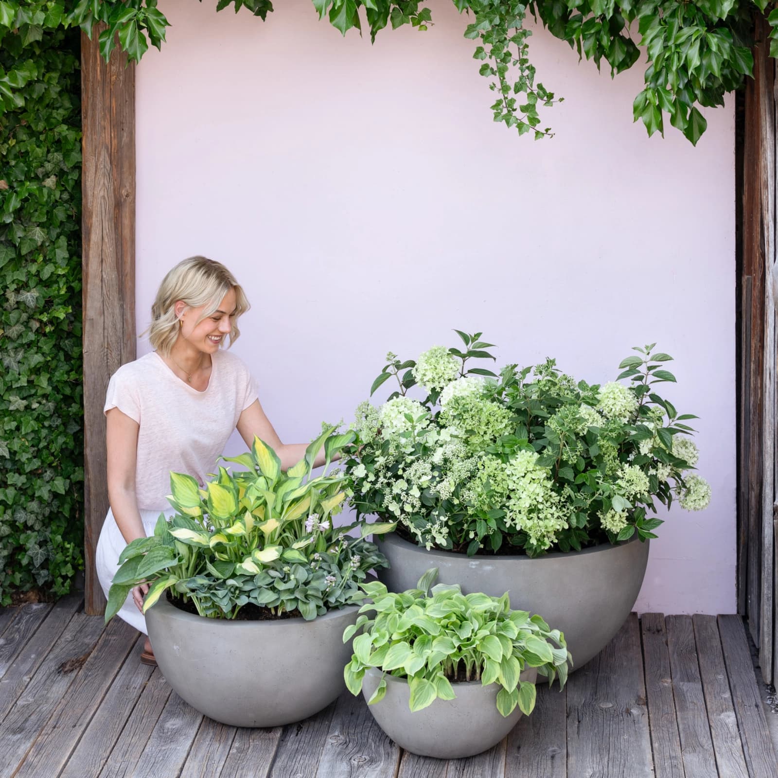 Blatt- & Schattenstauden