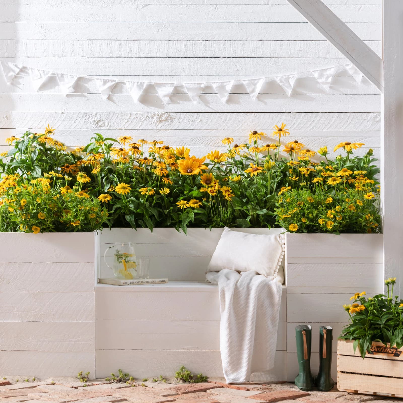 Gräser- & Staudensets