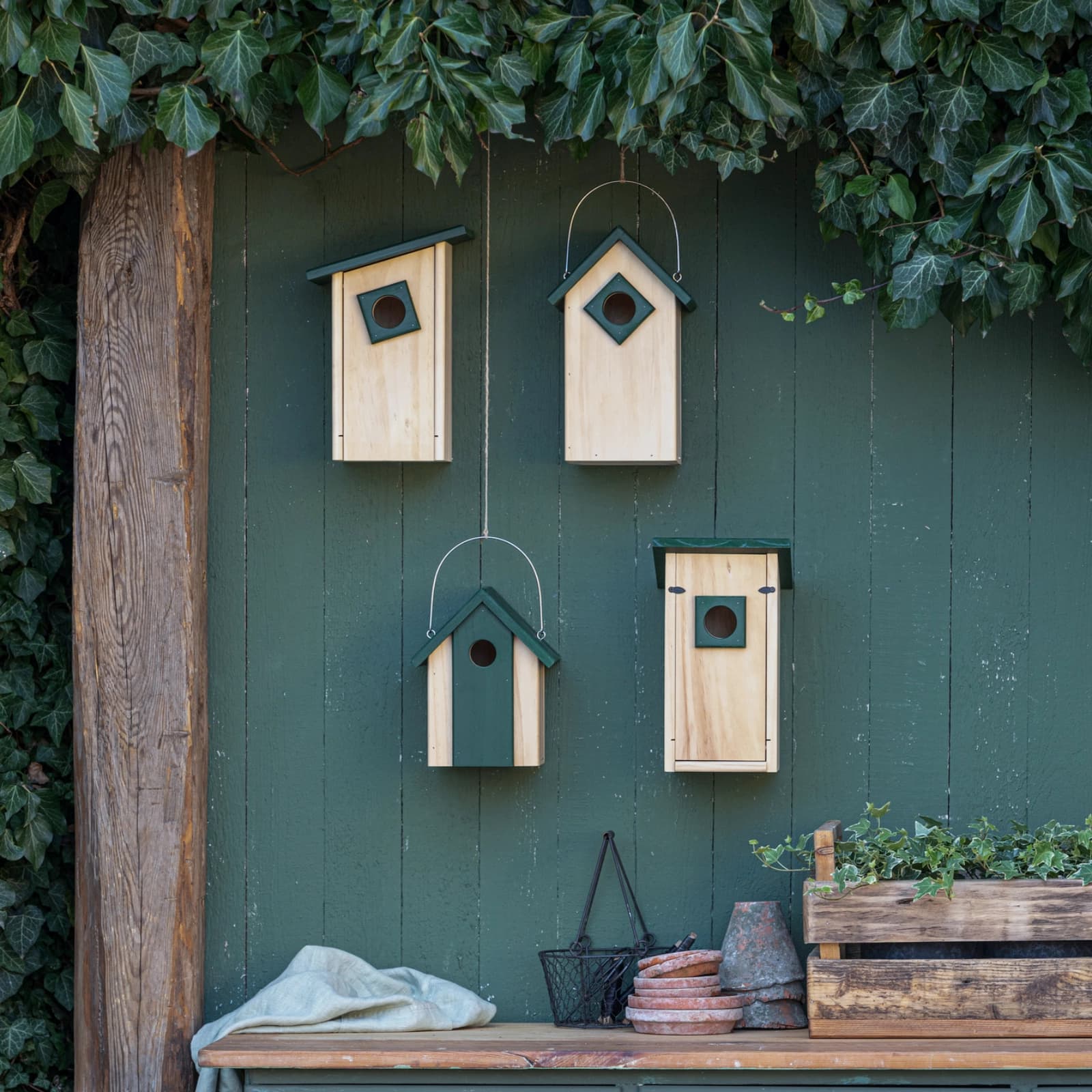 Ratgeber Nistkästen