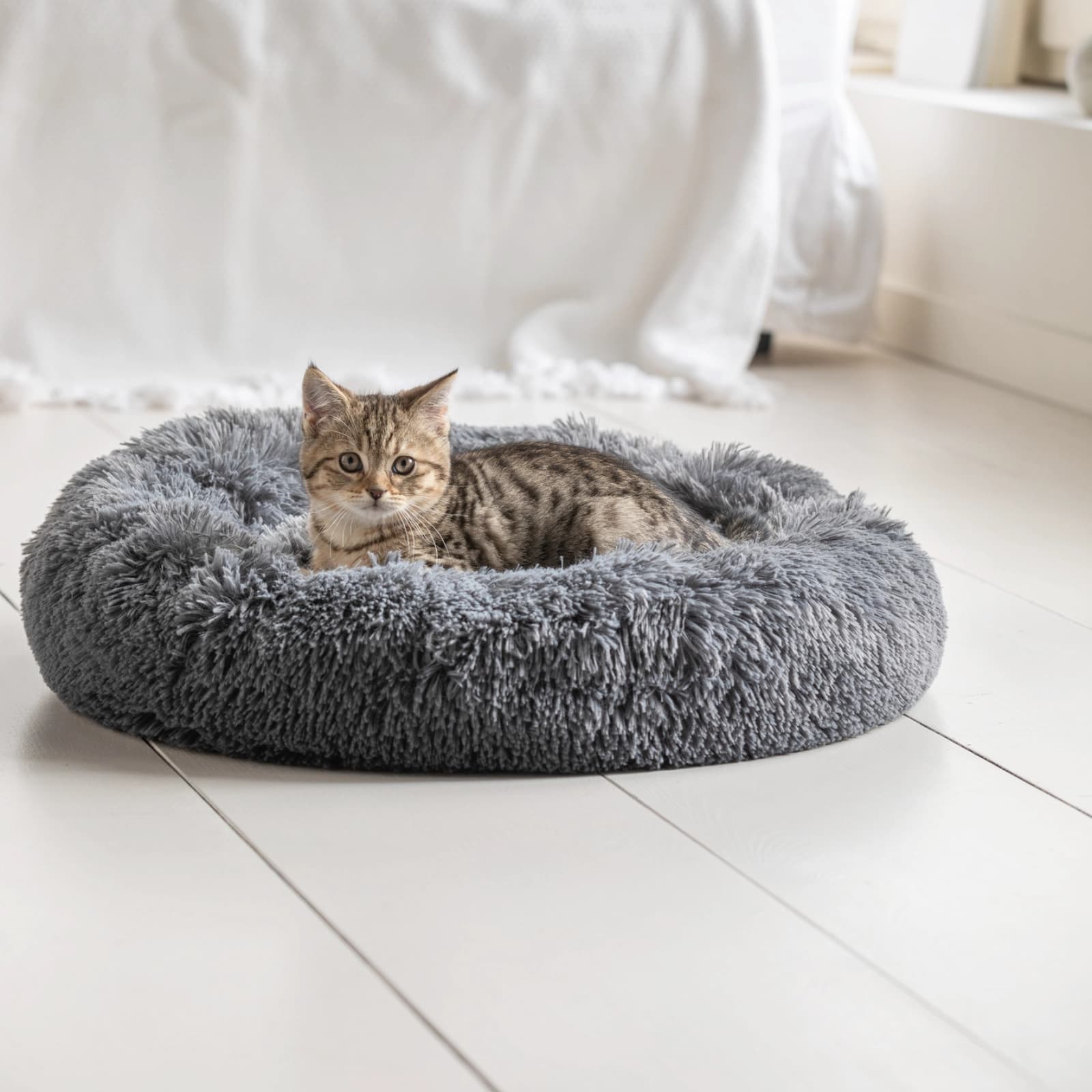 Katzenbetten & -kissen