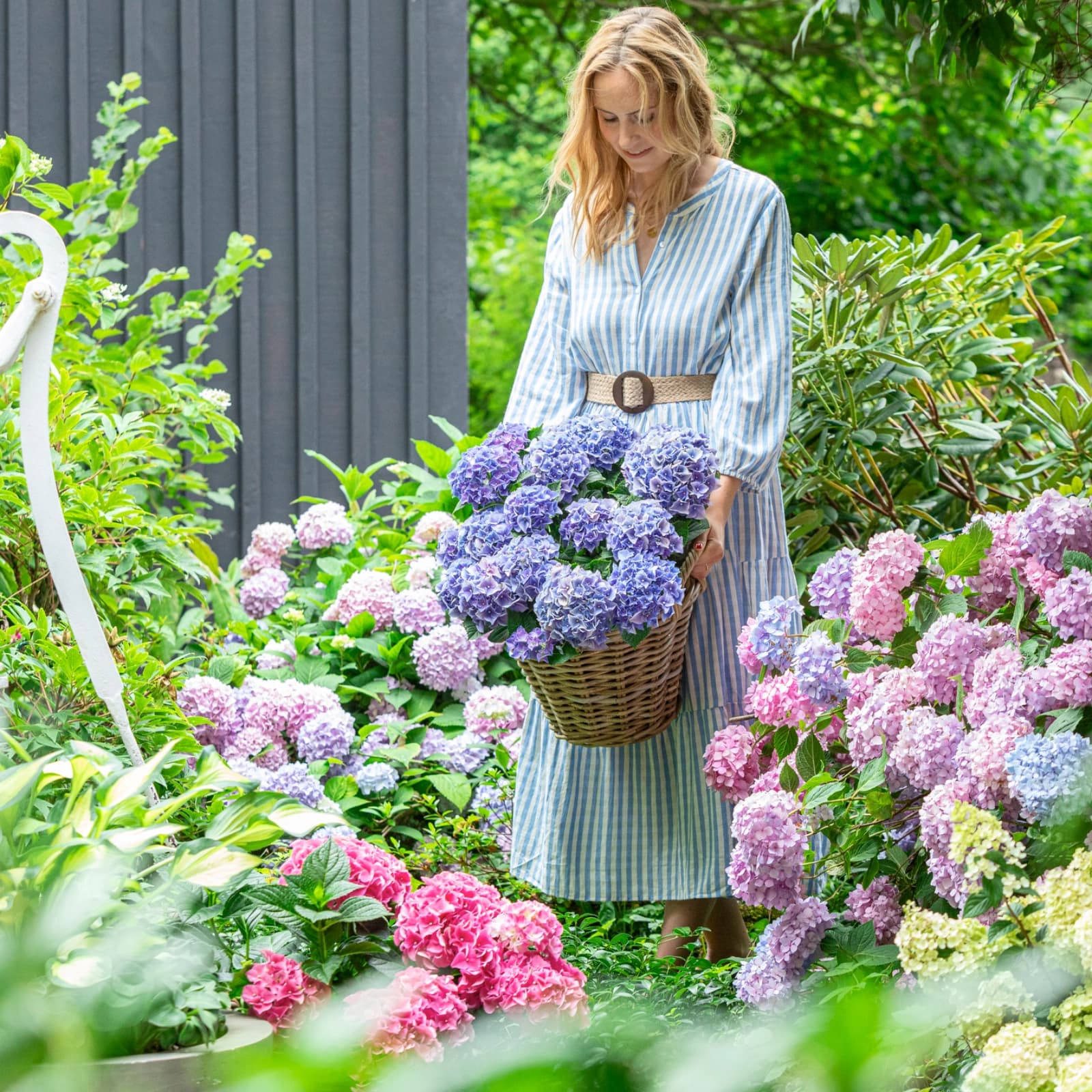 Blumentöpfe & Übertöpfe