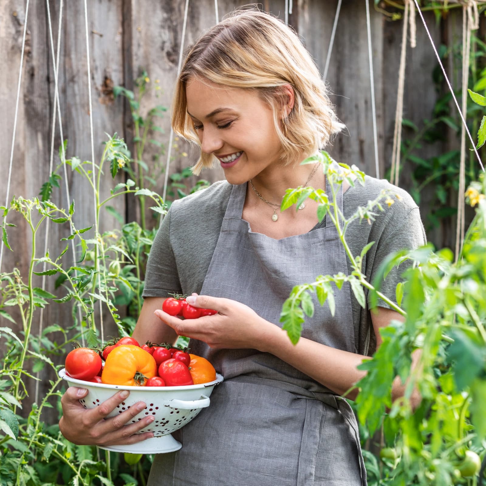 Tomaten & Auberginen