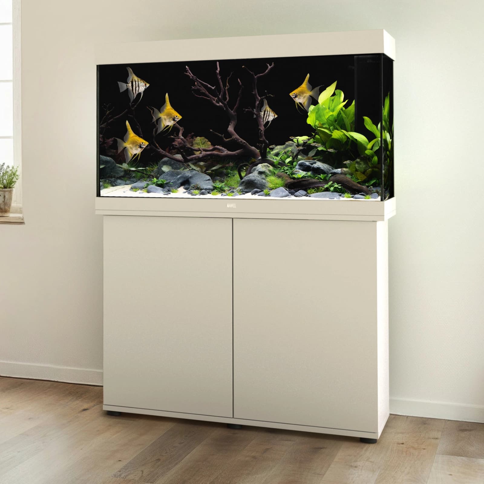 Aquaristik