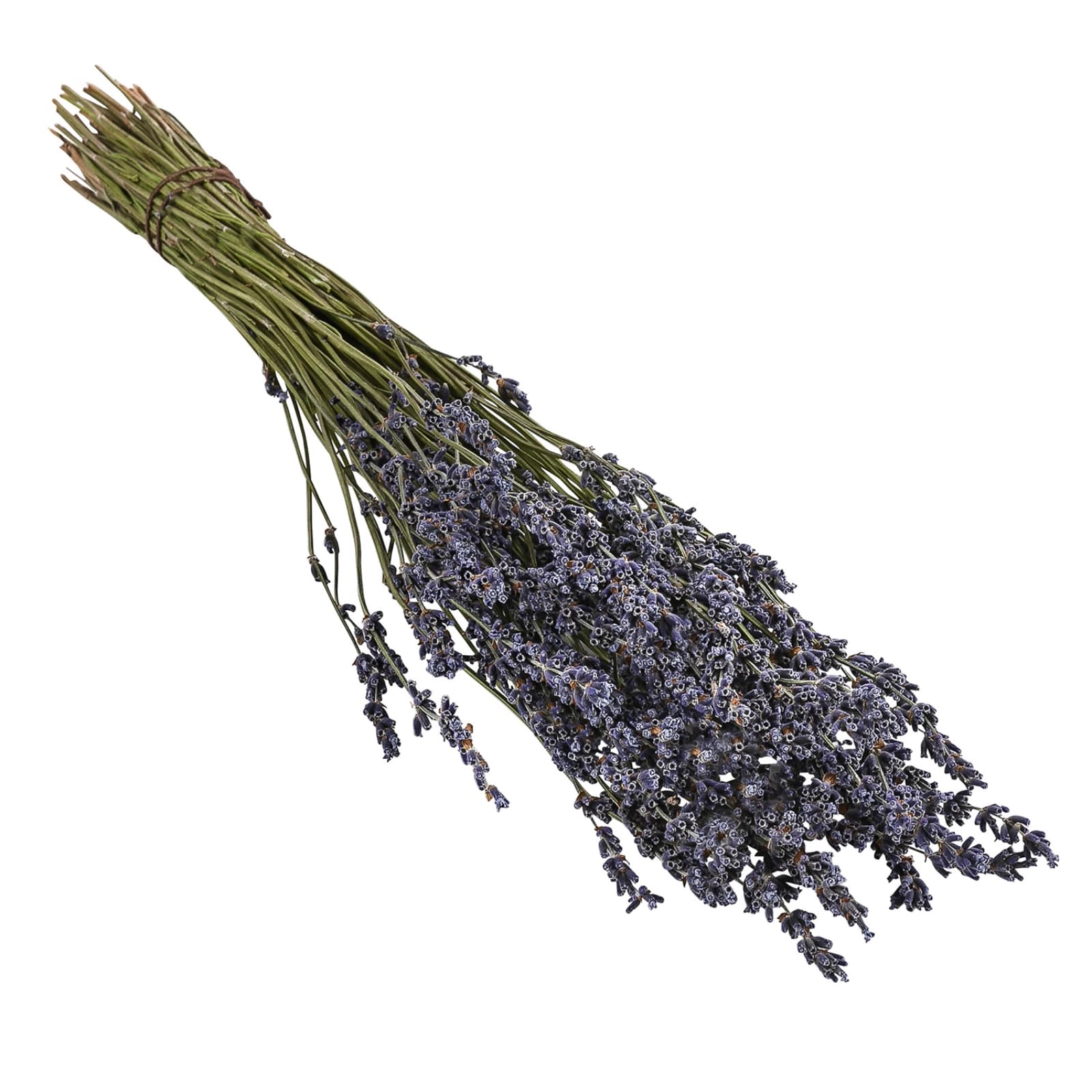 Lavendel