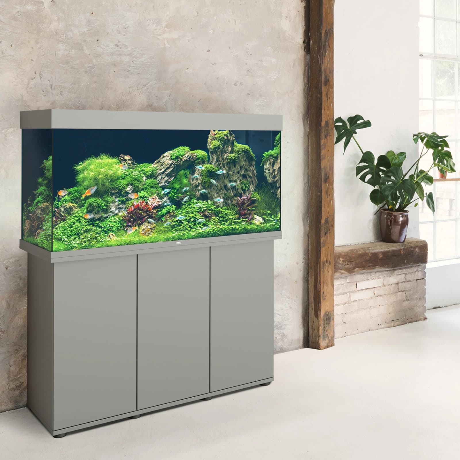 Ratgeber Aquaristik