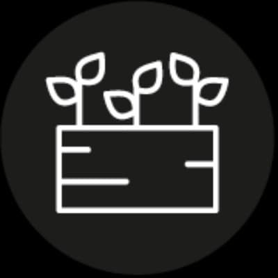 Balkon- & Terrassenpflanzen