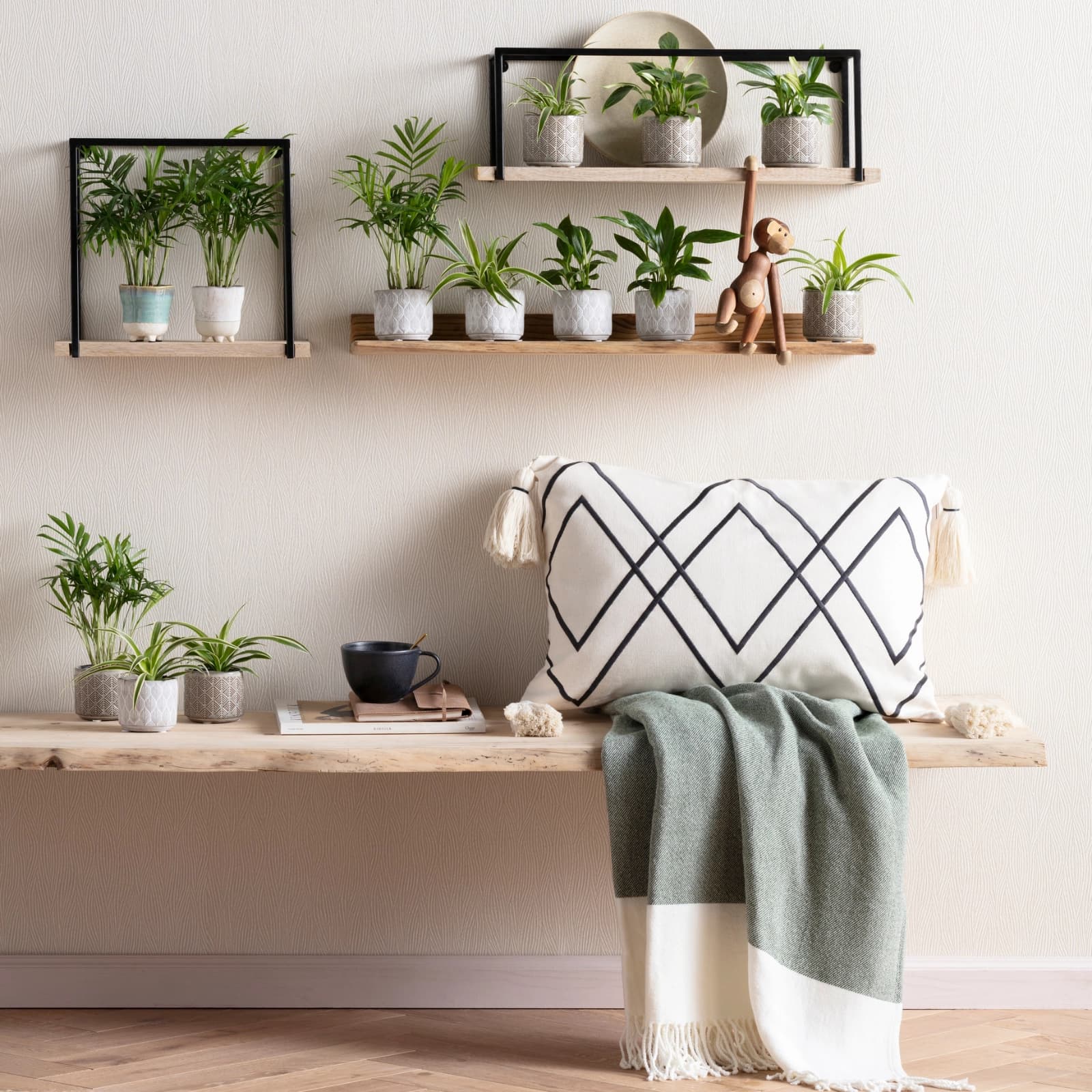 Ratgeber Kleine Pflanzen