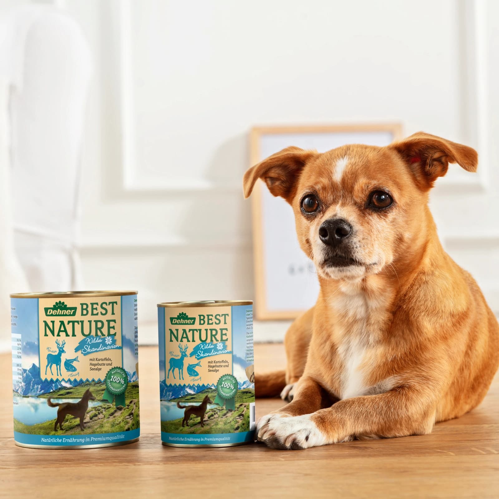 Hundefutter