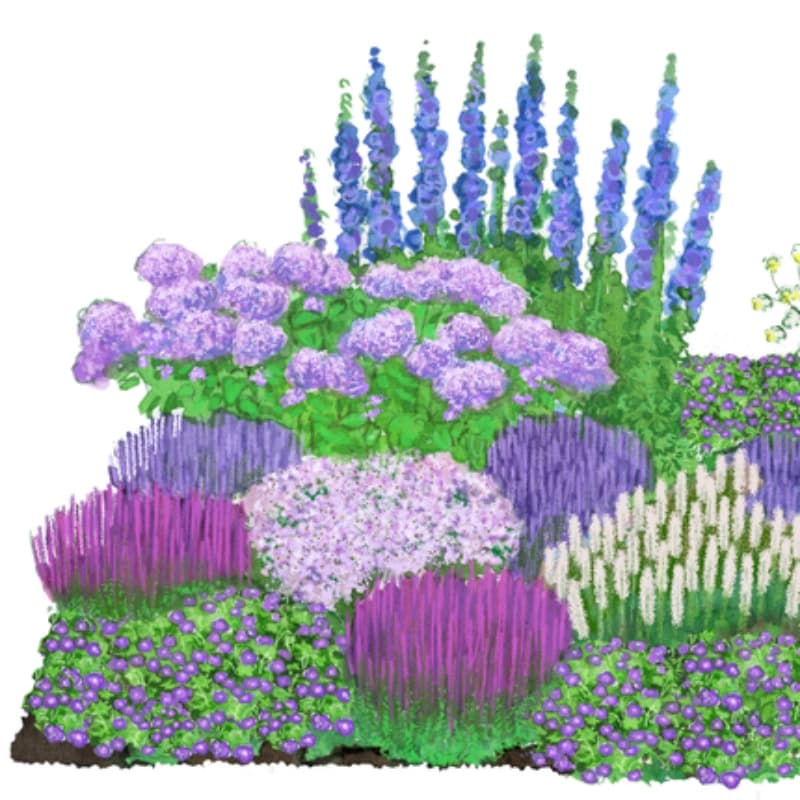 Gräser- & Stauden-Sets