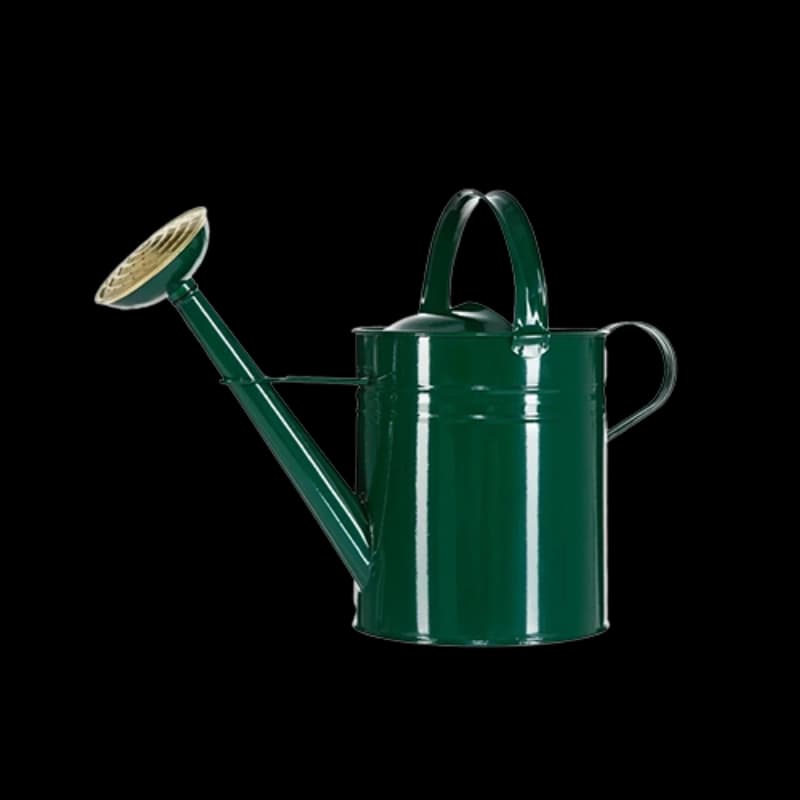Gießkannen