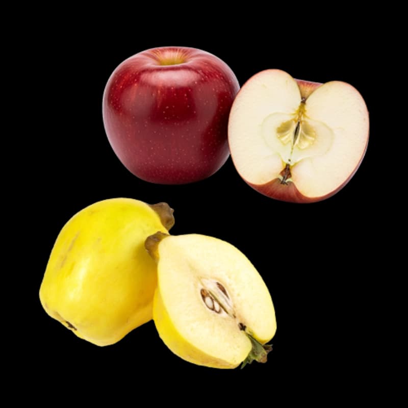 Birnen- & Apfelbäume