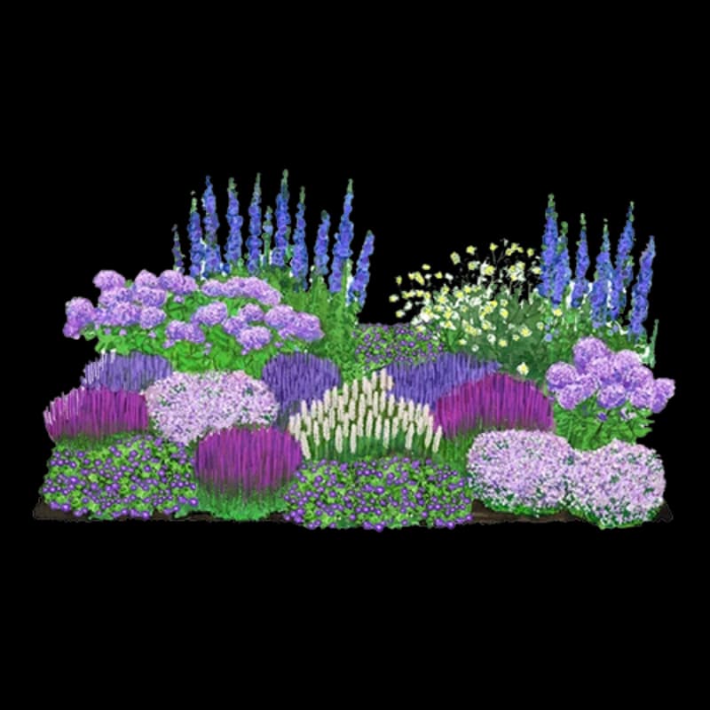 Gräser- & Stauden-Sets