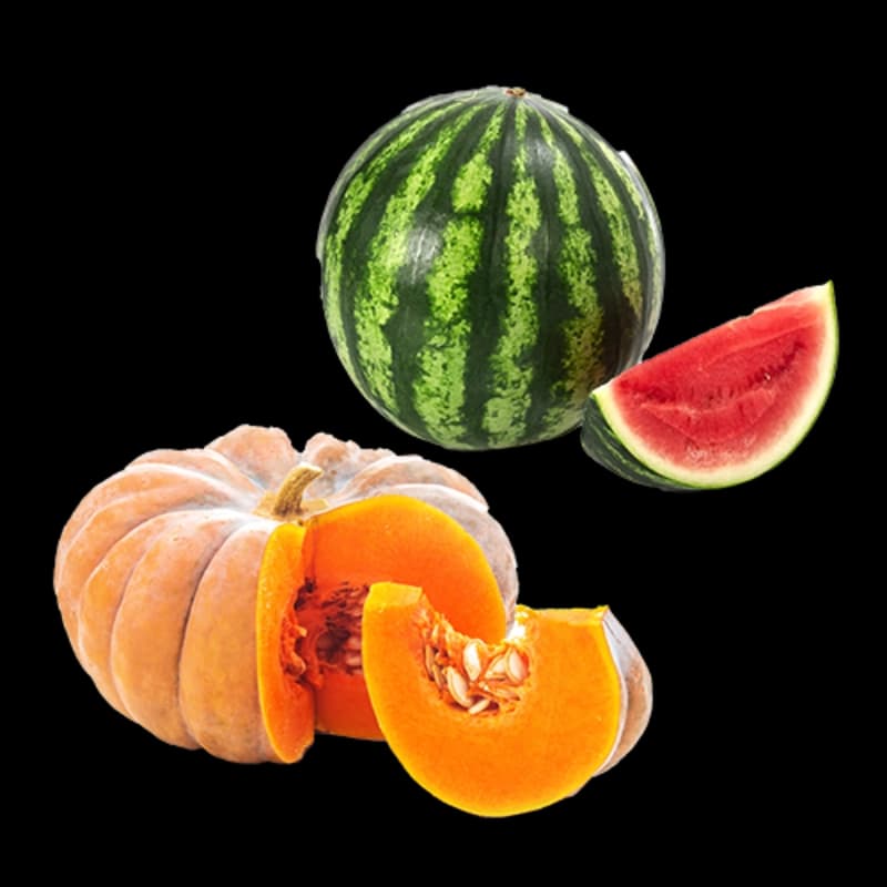 Melonen- & Kürbispflanzen