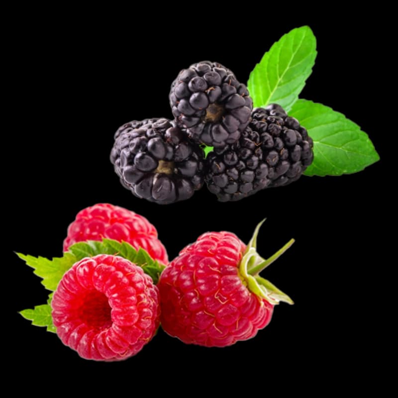Himbeeren & Brombeeren