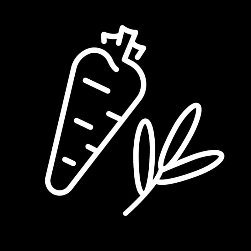 Aussaatkalender Gemüse