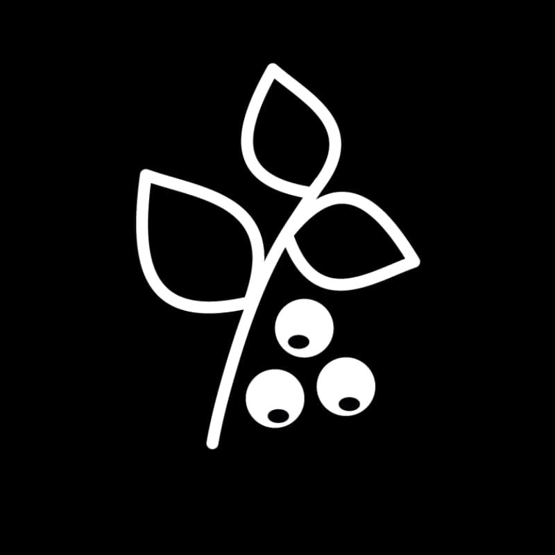 Beerenobst & Obstbäume