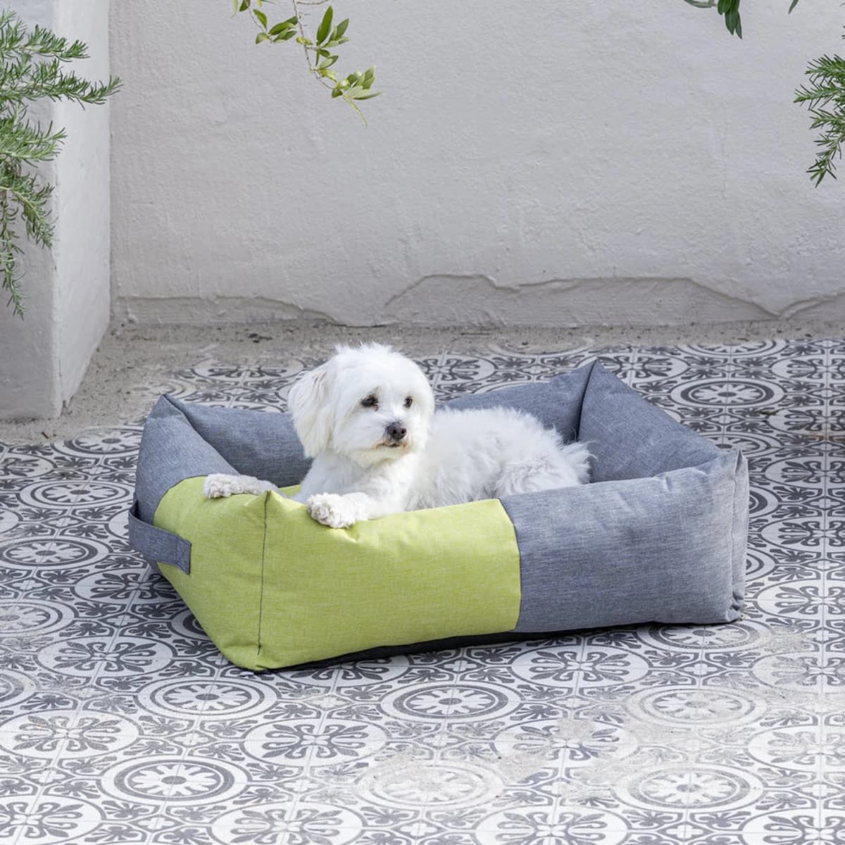 Hundebetten & Körbe