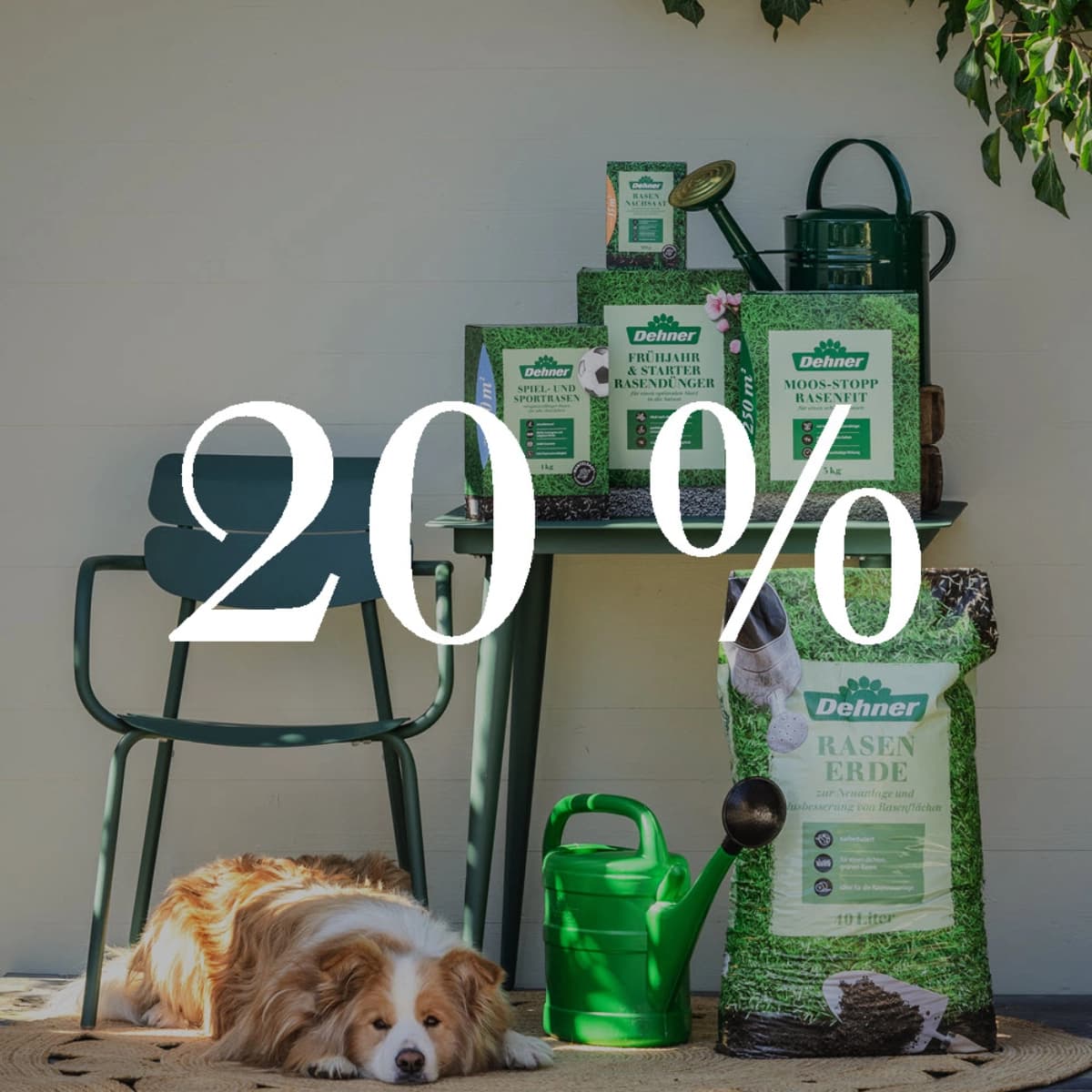 Rasenpflege & Rasensamen