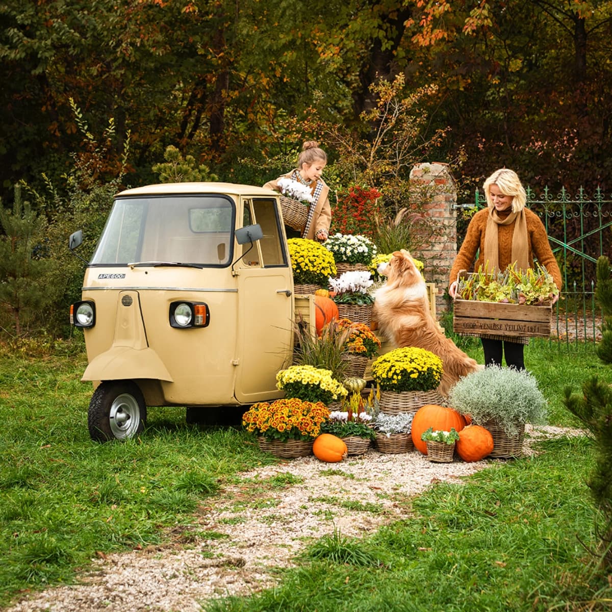 Herbstgarten