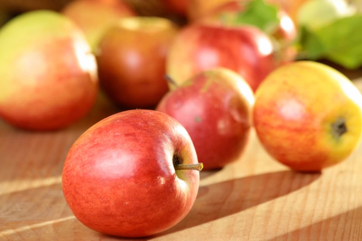 Winterlager vorbereiten