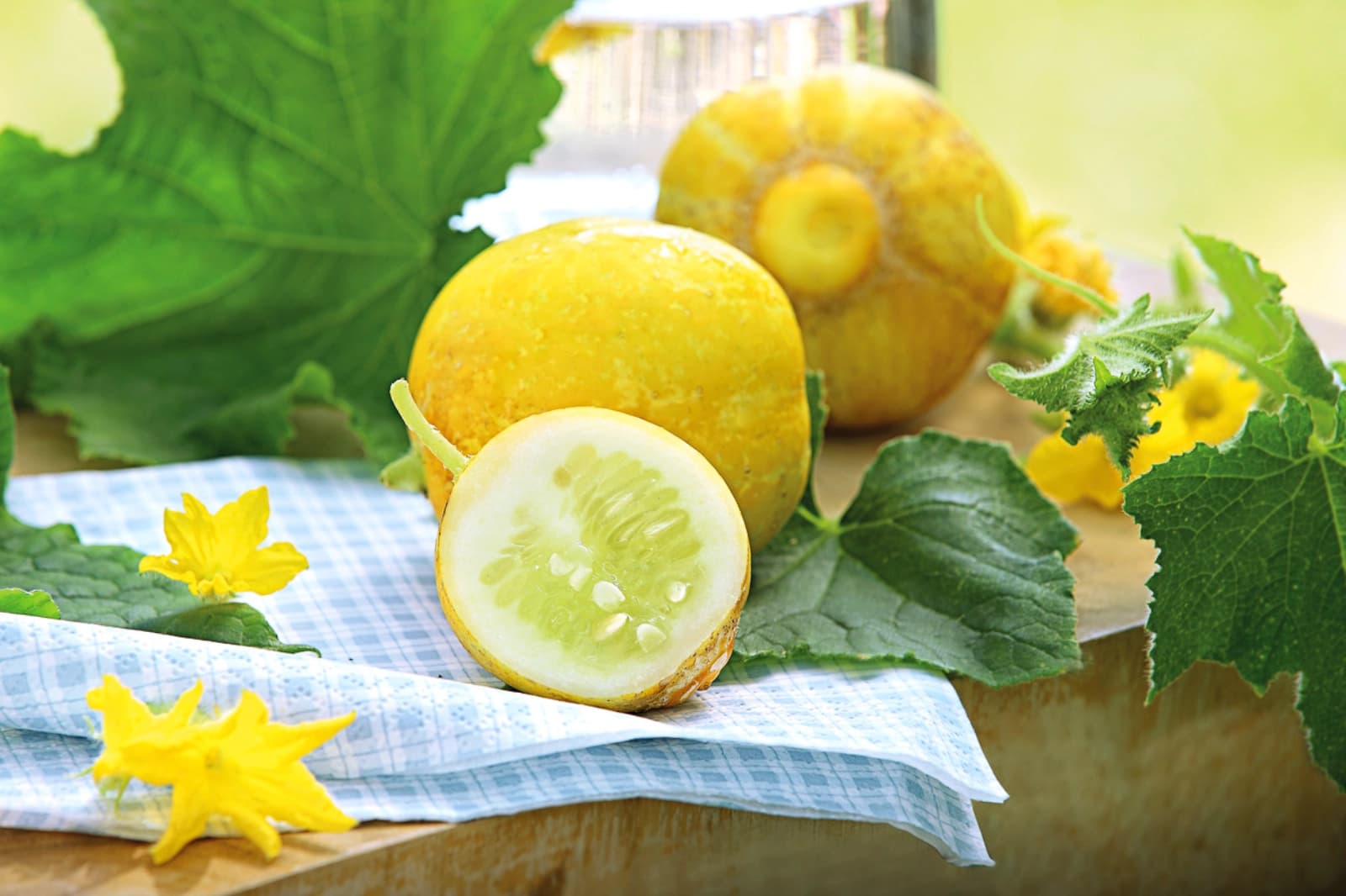 Zitronengurke