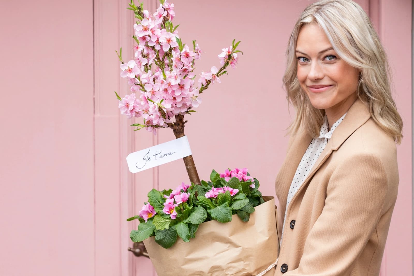 Aprikosen, Pfirsiche & mehr