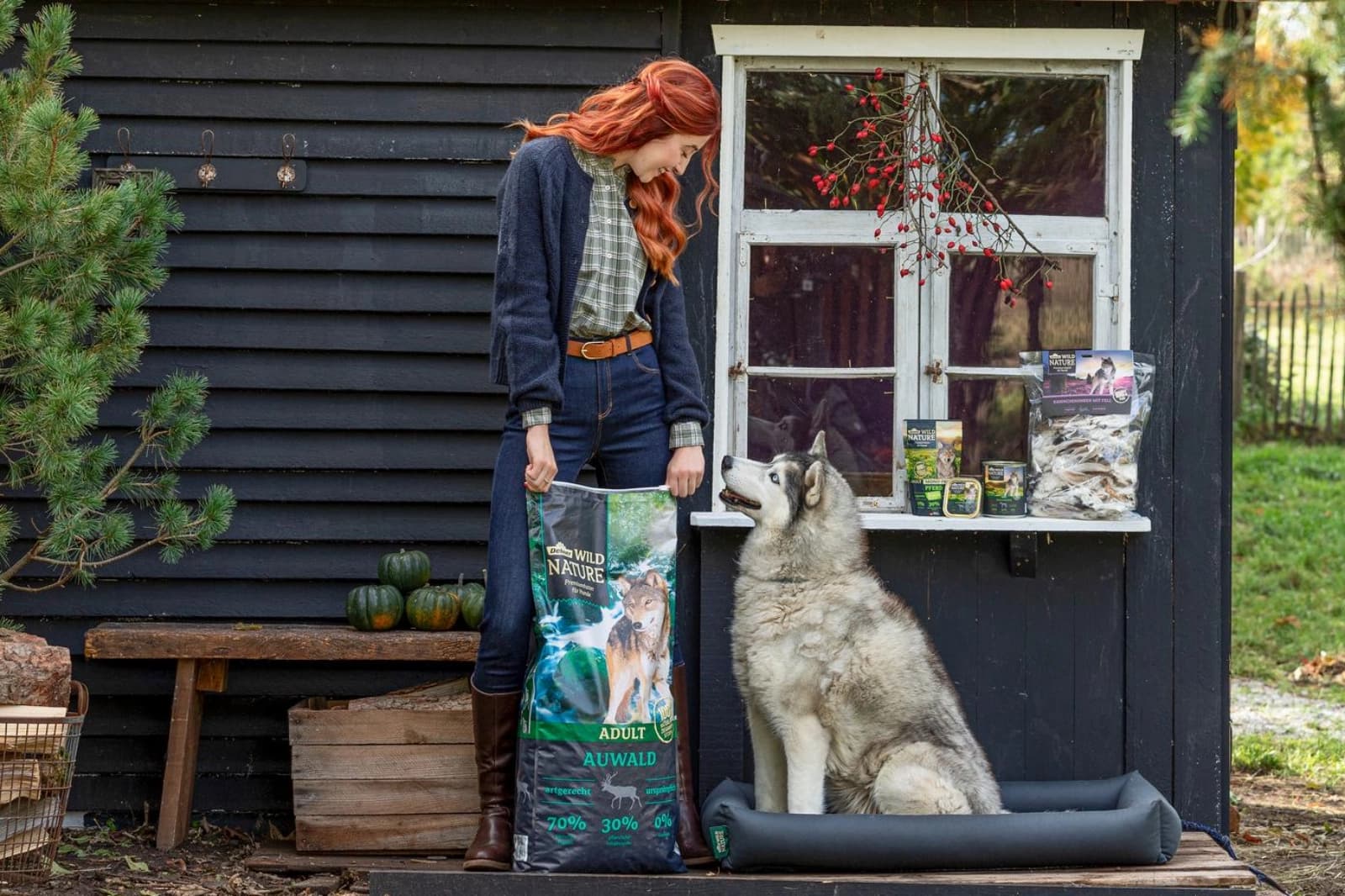 Futterumstellung Hund