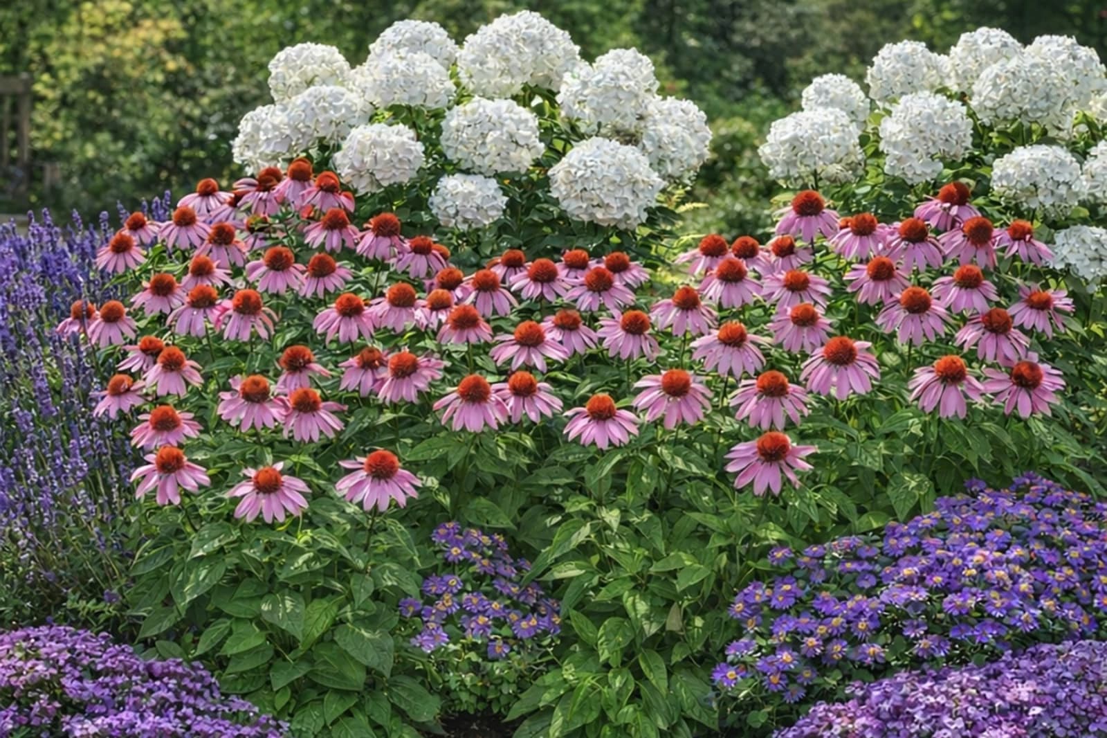 Gräser- & Stauden-Sets