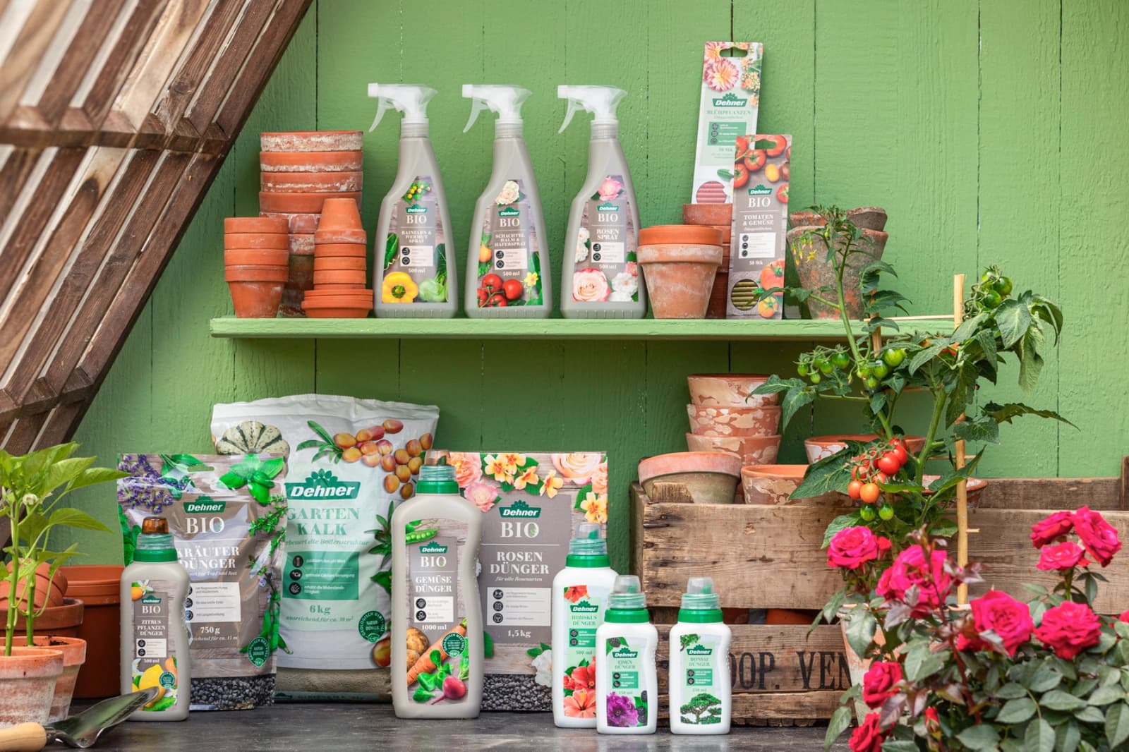 Pflanzung & Düngung