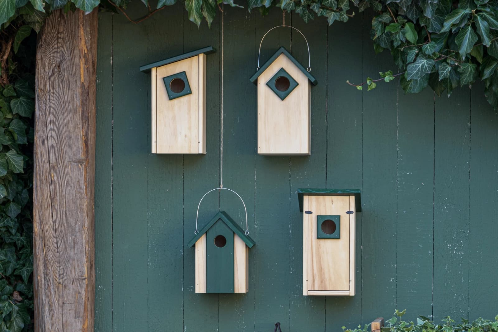 Tierfreundlicher Garten