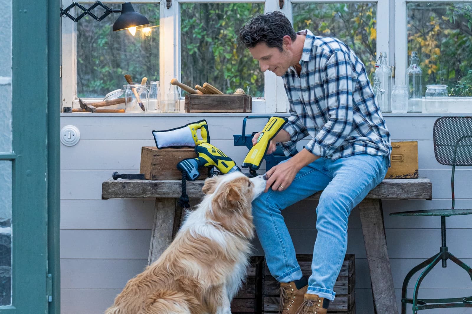 Gesamtes Hunde-Sortiment