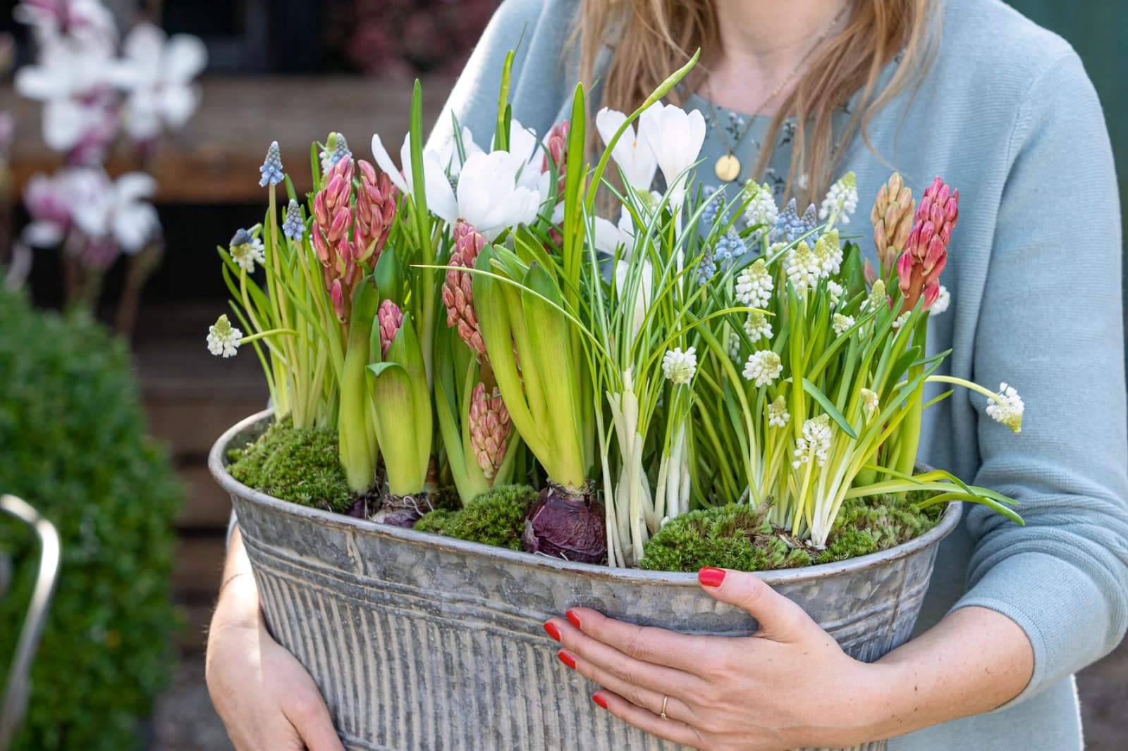 Gartenkalender März