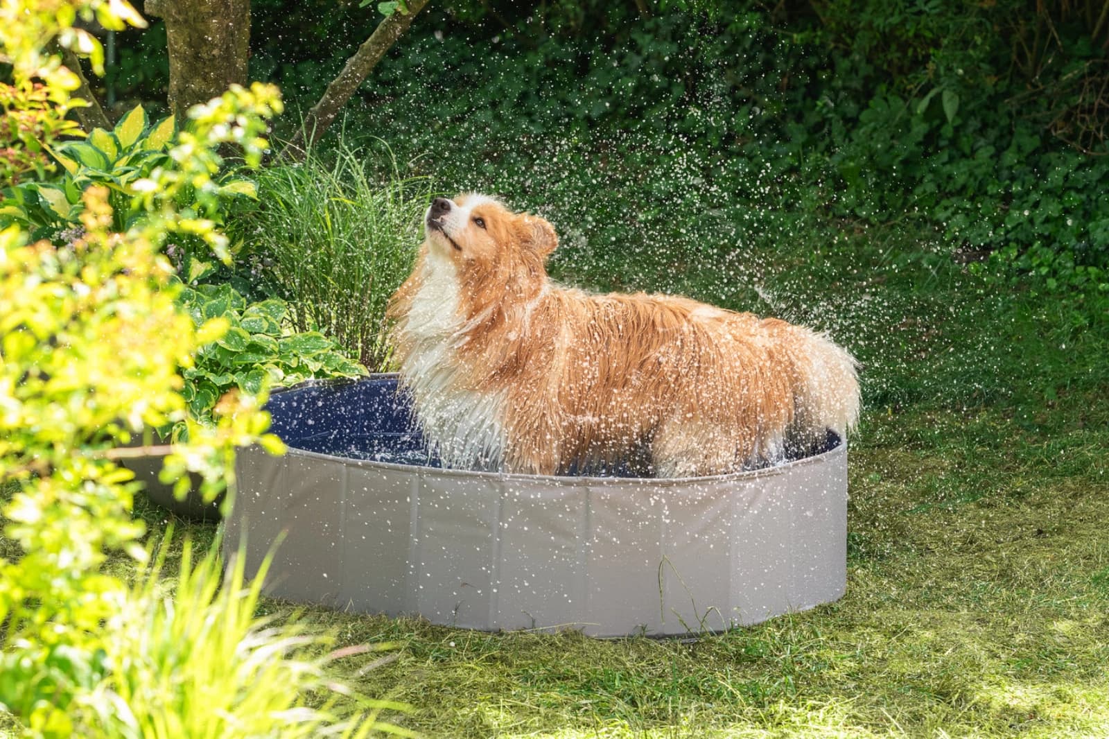 Tierischer Sommerspaß