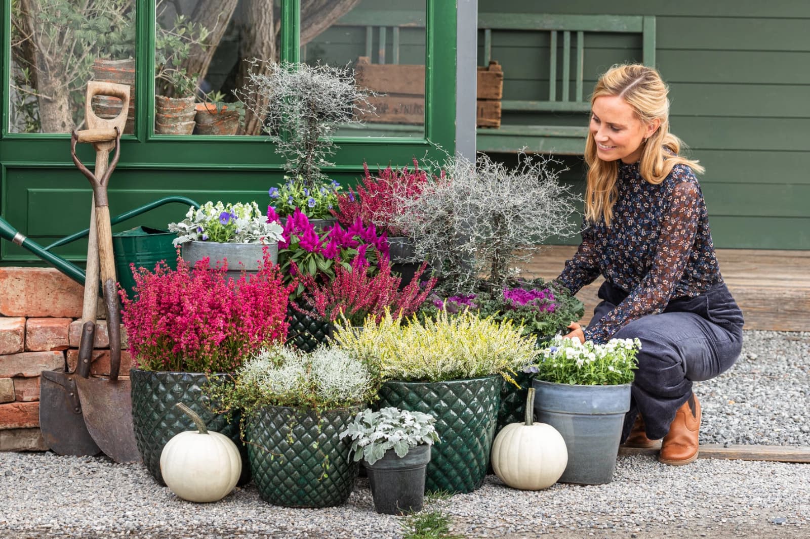 Knallige Herbstblumen