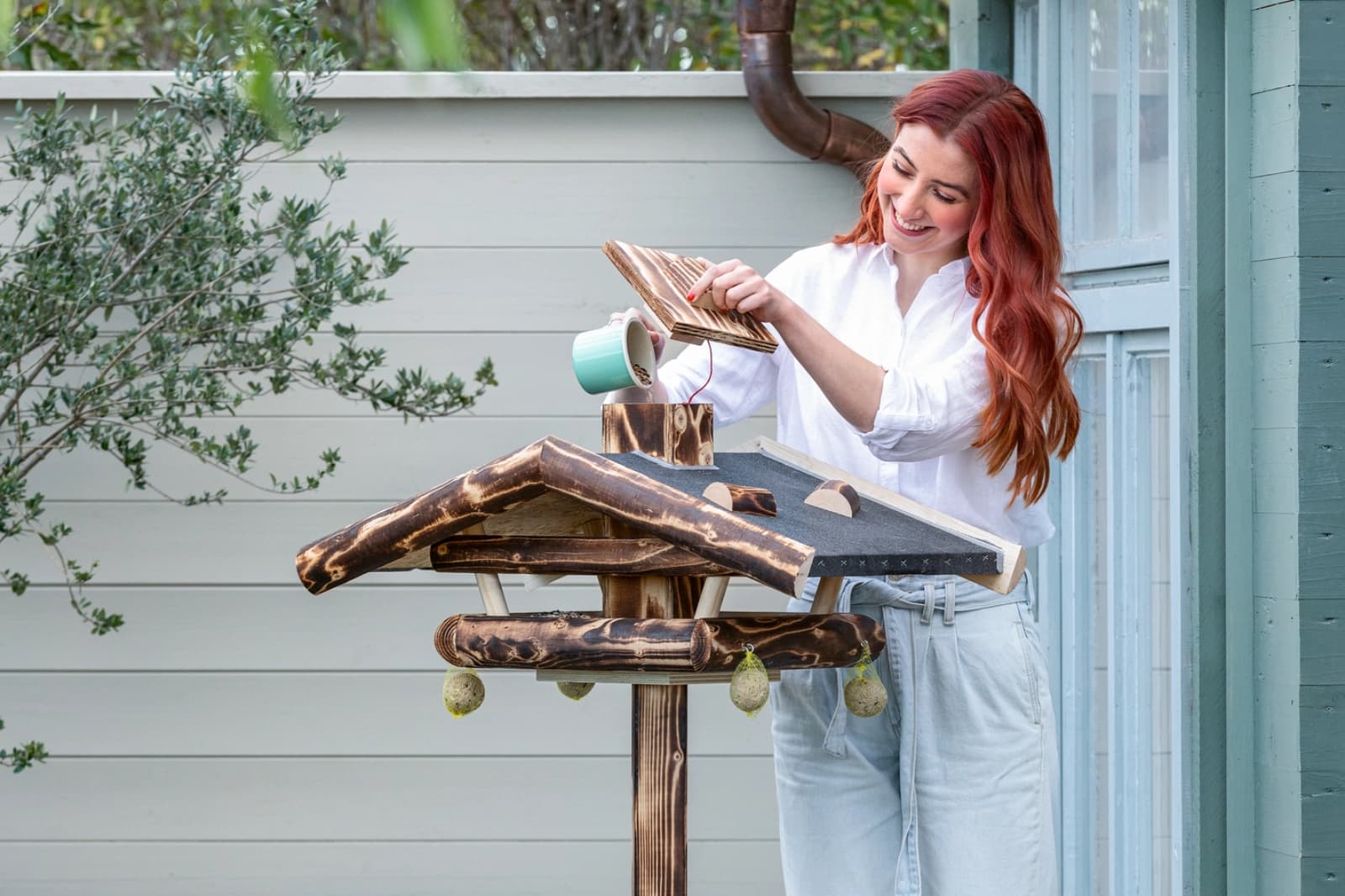 Wildvögel & Heimvögel