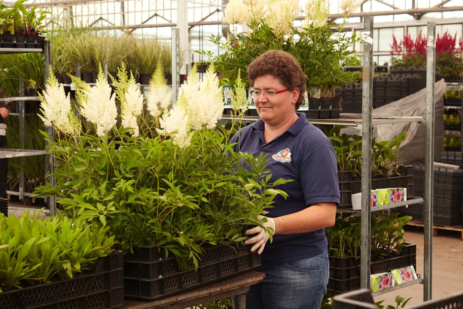 Verpackung/Transport