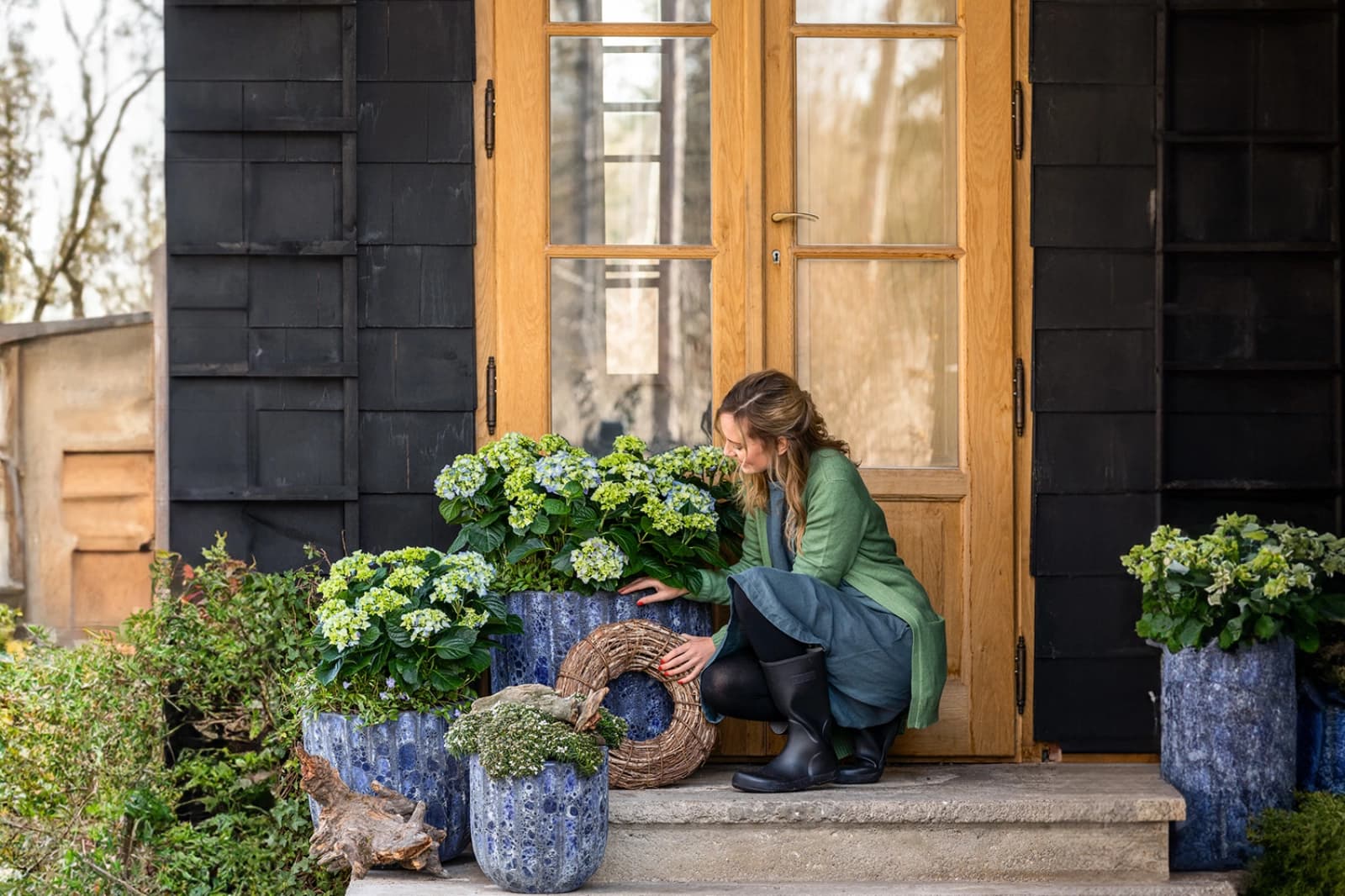 Winterharte Kübelpflanzen