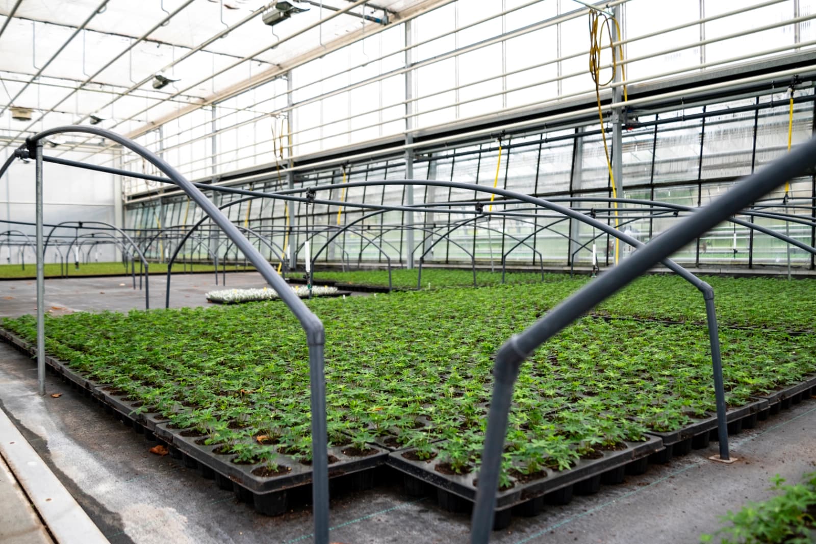 Energie & Ressourcen