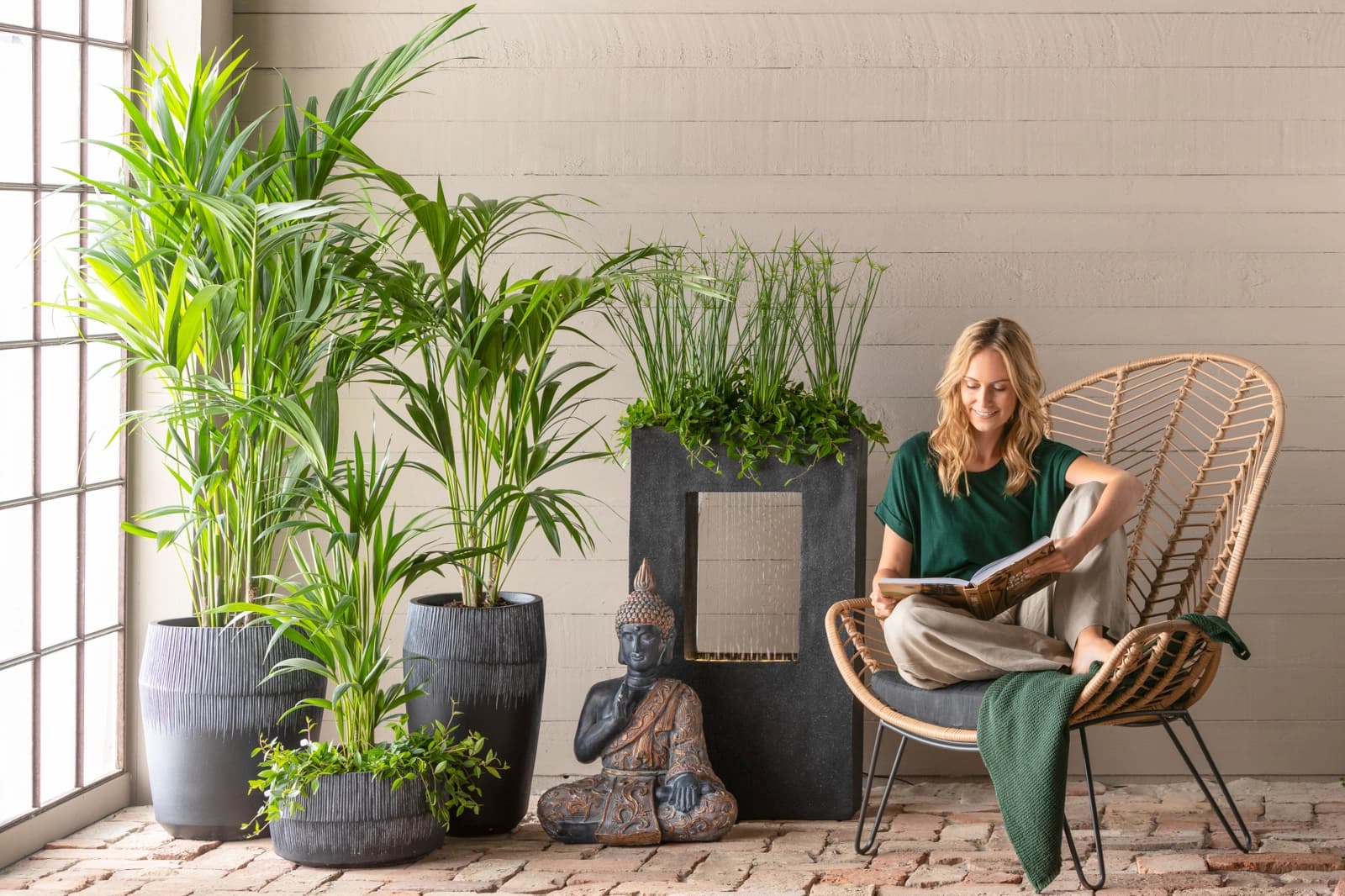 Zimmerpflanzen für jeden Raum