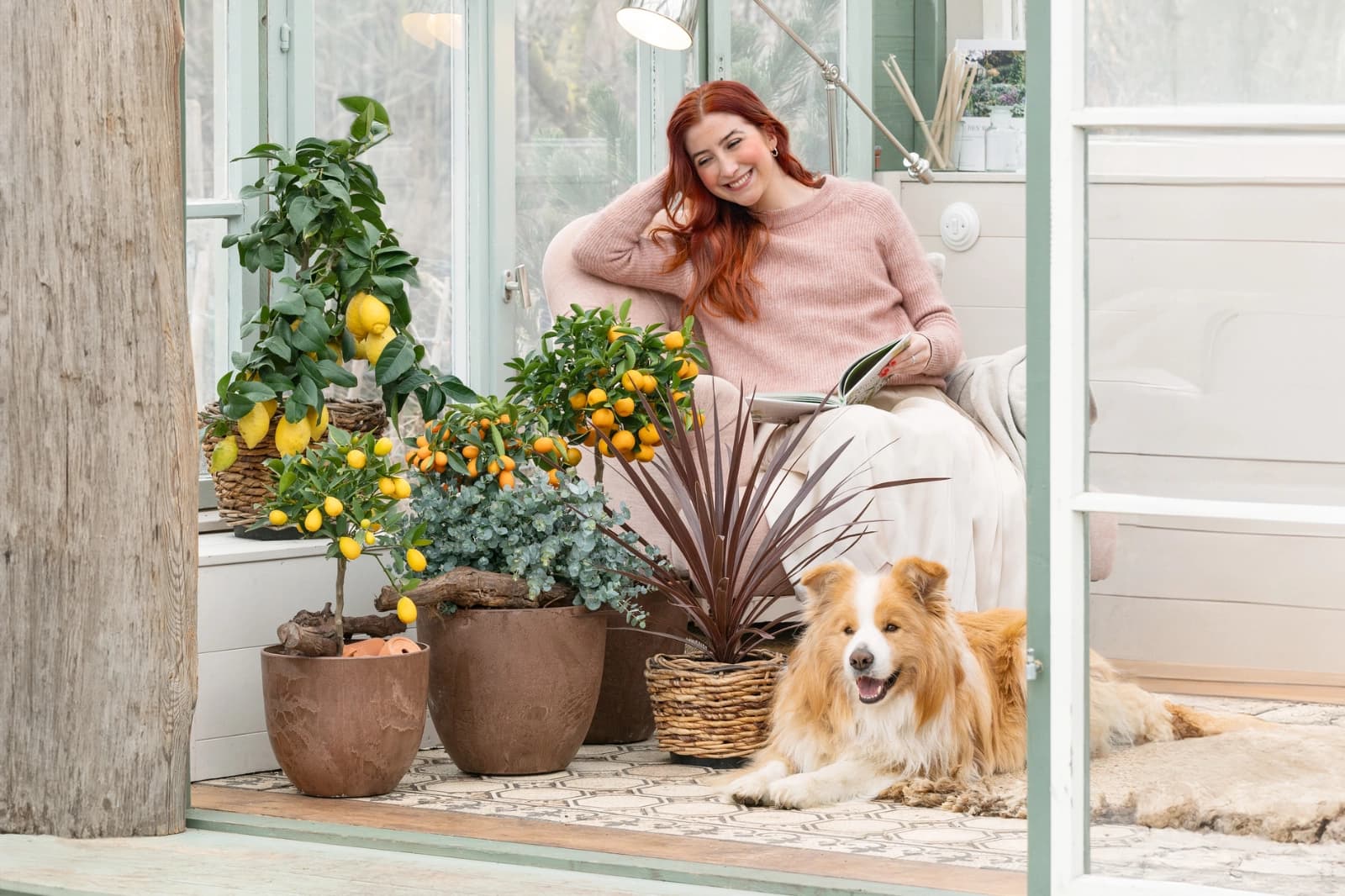 Mediterraner Garten