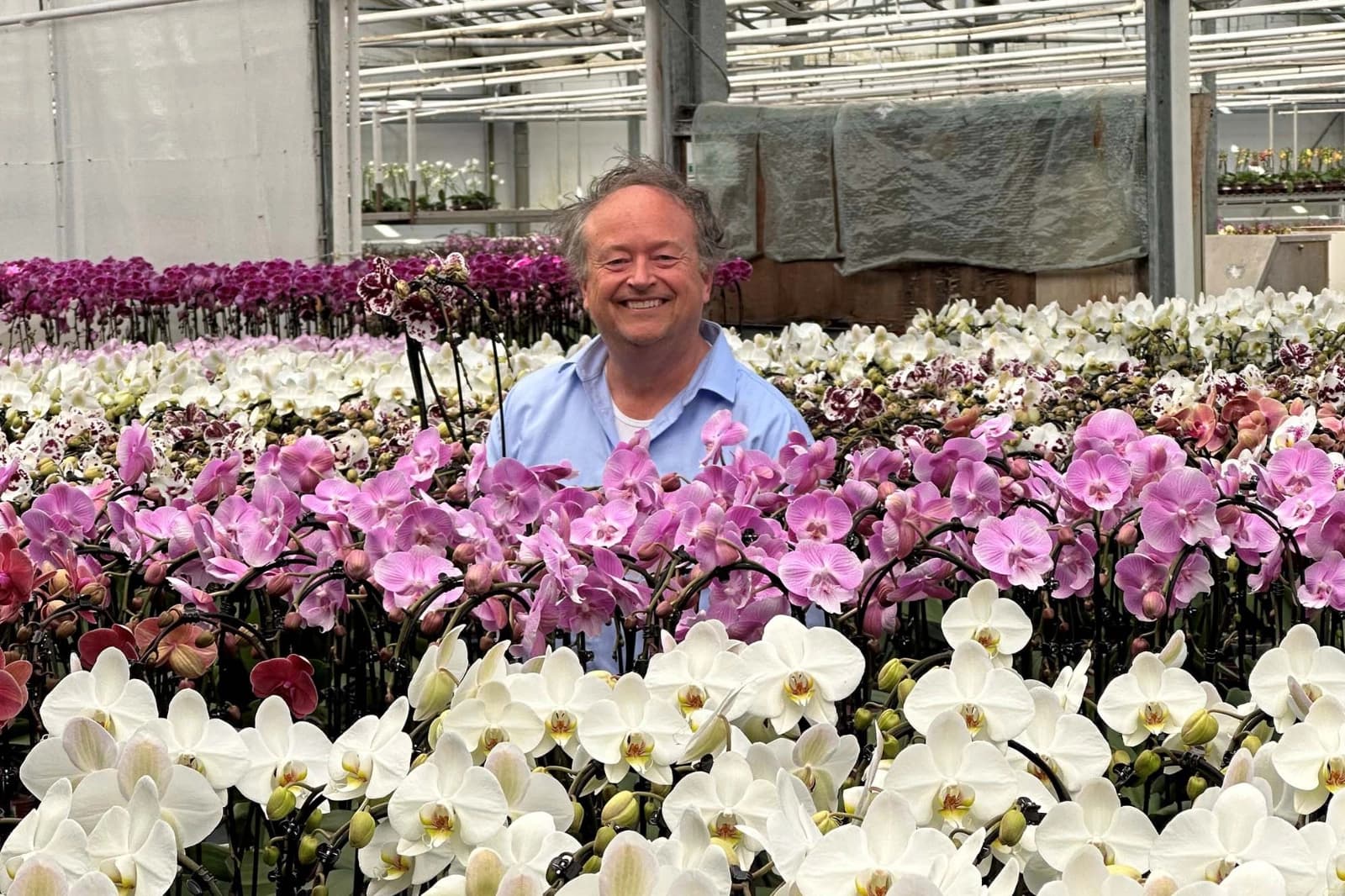 Verpackung/Transport