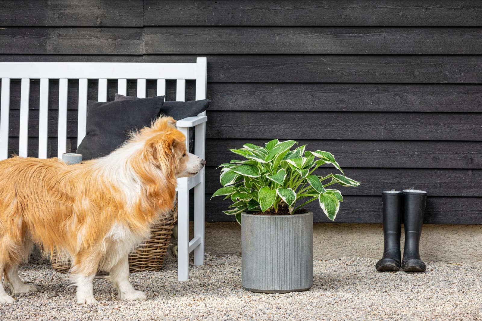 Farben gezielt einsetzen
