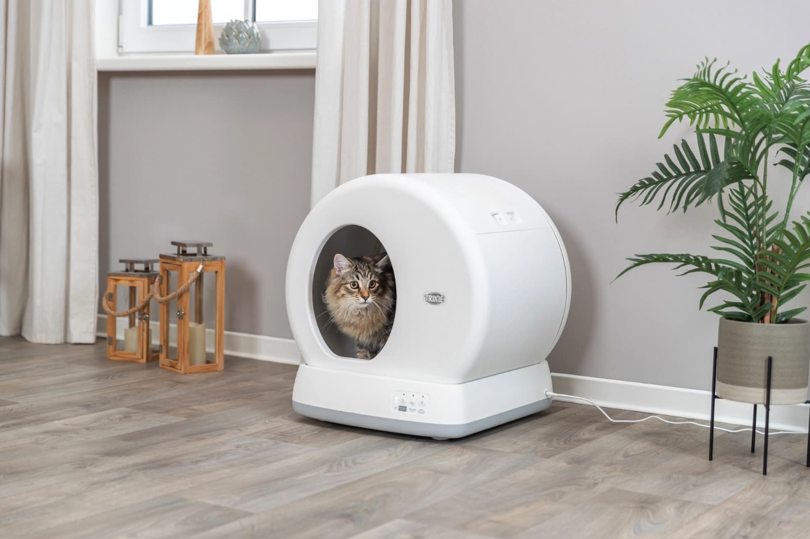 Selbstreinigende Katzentoilette