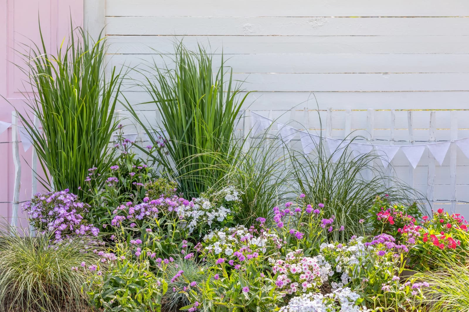 4. Pflanzkonzept entwickeln